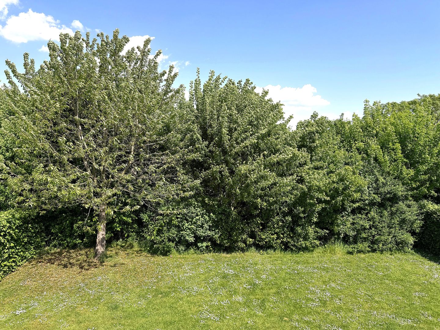 Foto 4 van Heldensedijk 5-B116