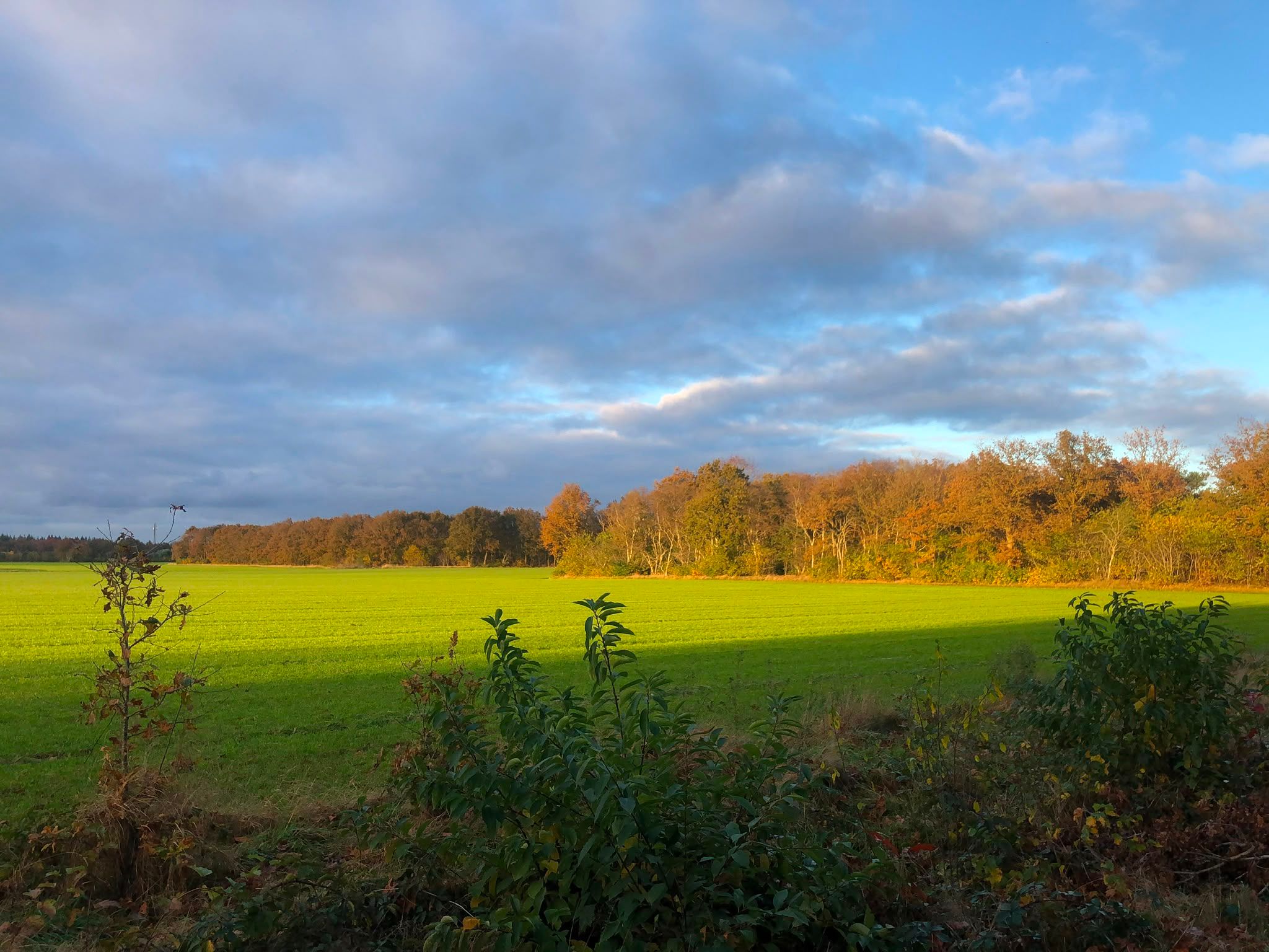 Foto 54 van Oshaarseweg 24-99