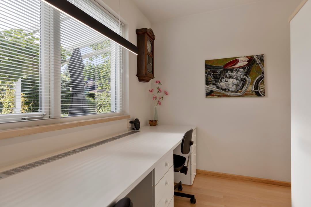 Foto 17 van Buizerd 47