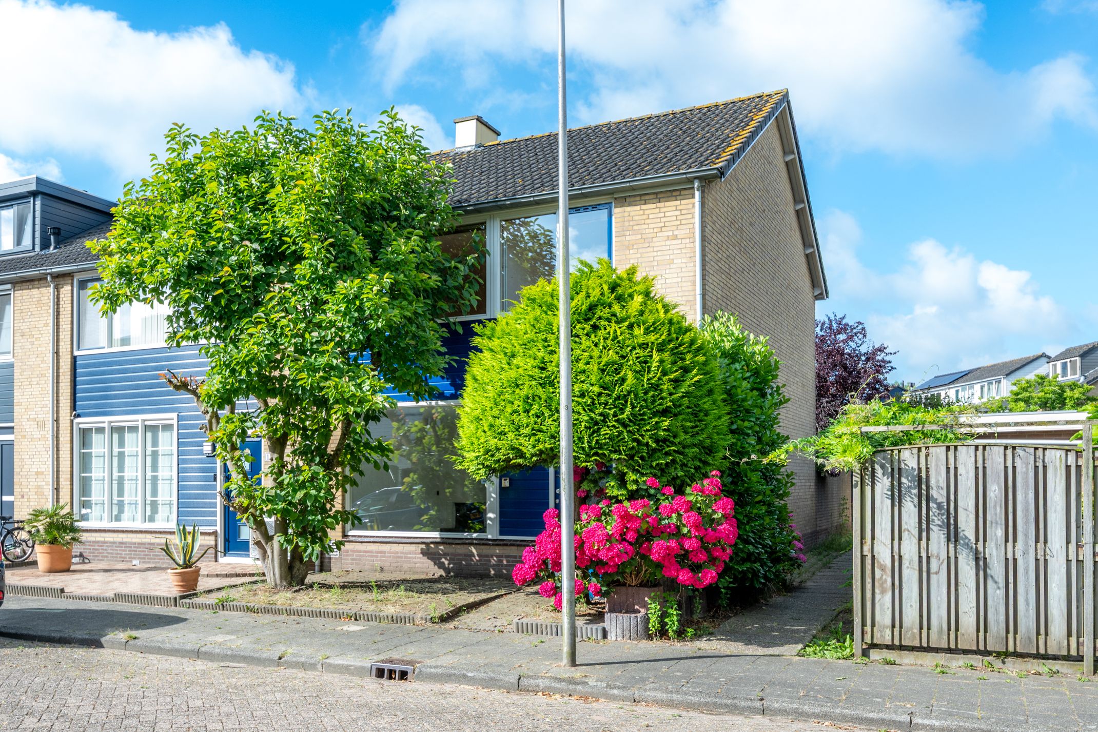 Wilgenstraat 16 