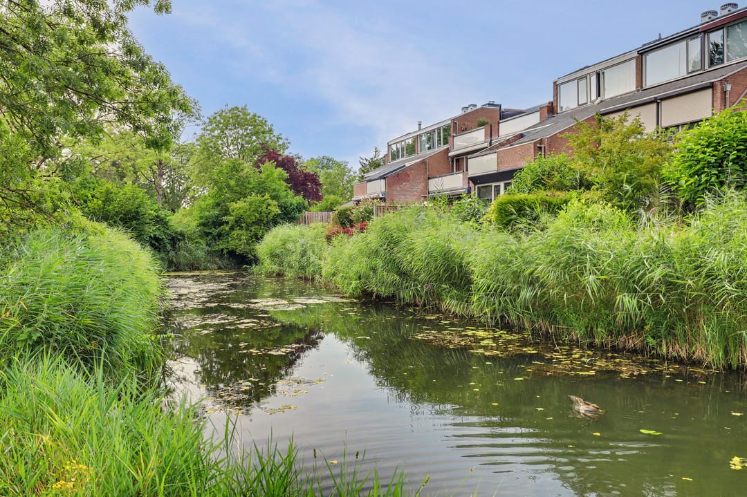 Photo 37 of Groningensingel 1161