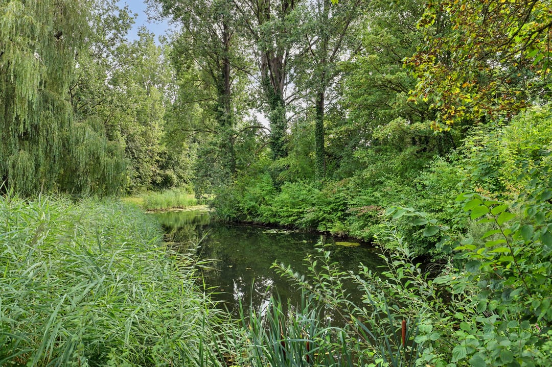 Photo 38 of Groningensingel 1161
