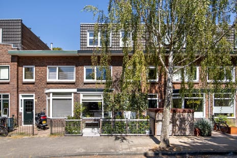 Berkenstraat thumbnail