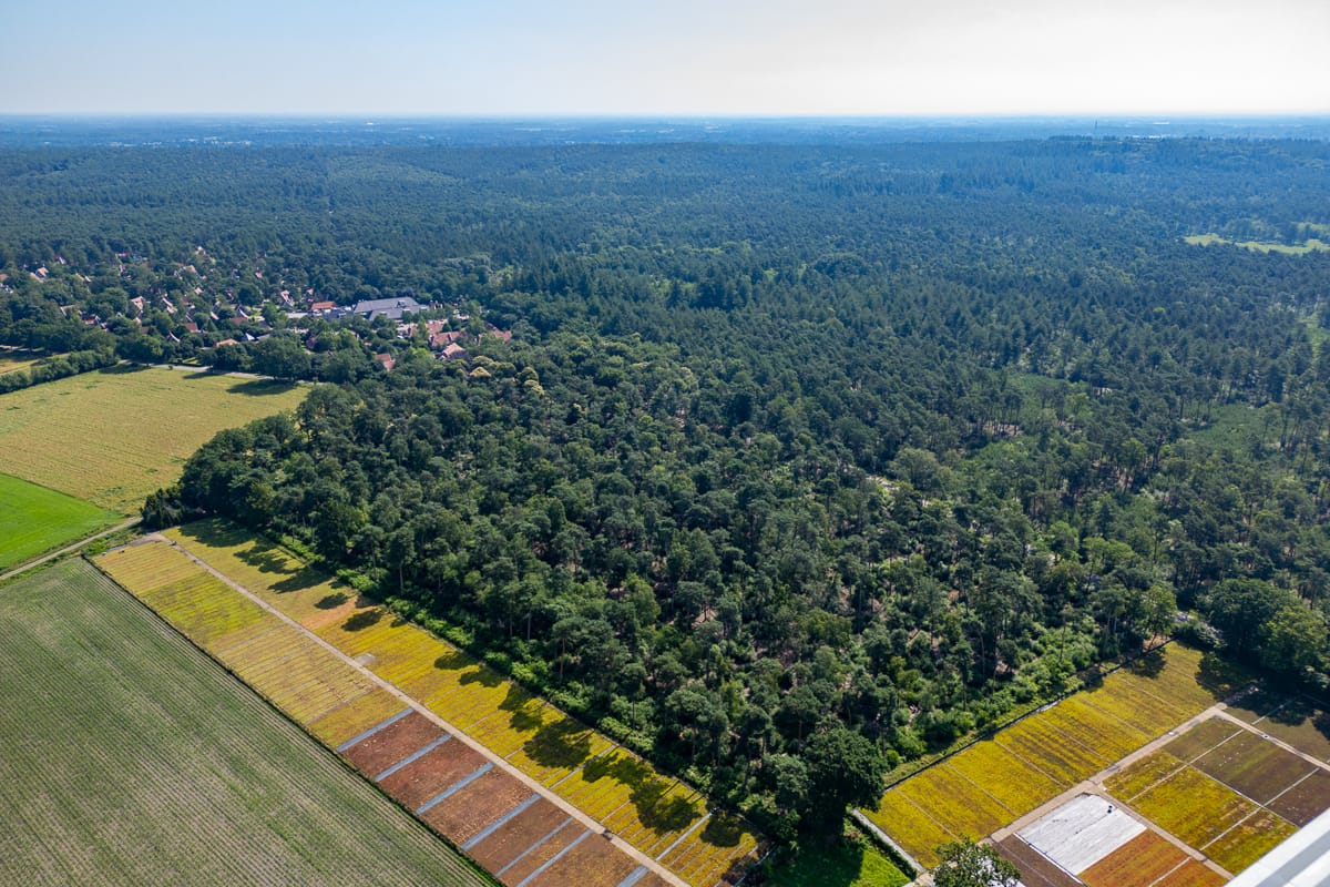 Bekijk foto 4 van Tunnelweg