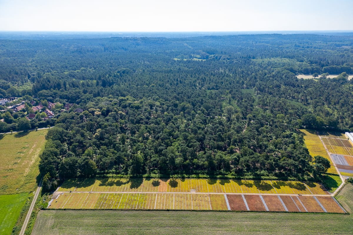 Bekijk foto 3 van Tunnelweg