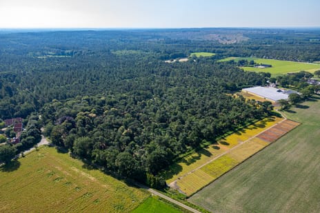 Bekijk foto's