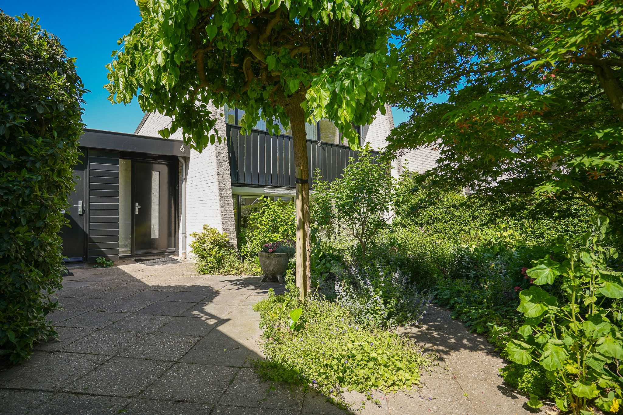 Buizerdstraat 6 