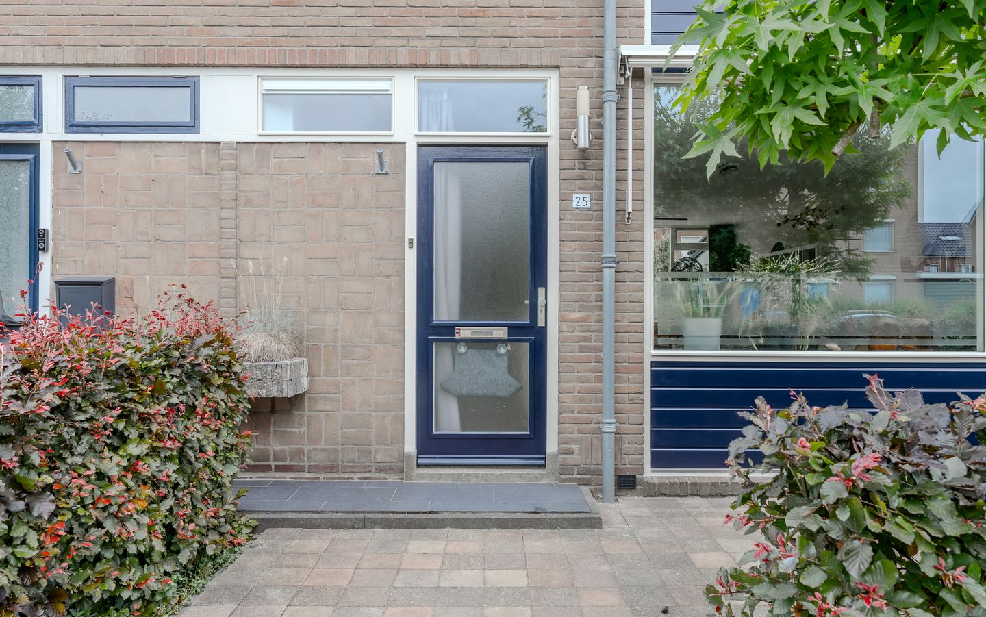 Foto 5 van Lodewijk van Nassaustraat 25