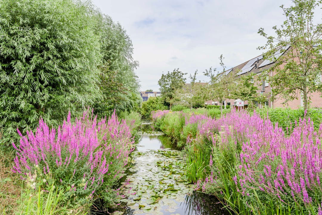 Photo 52 of Rozemarijnhof 25