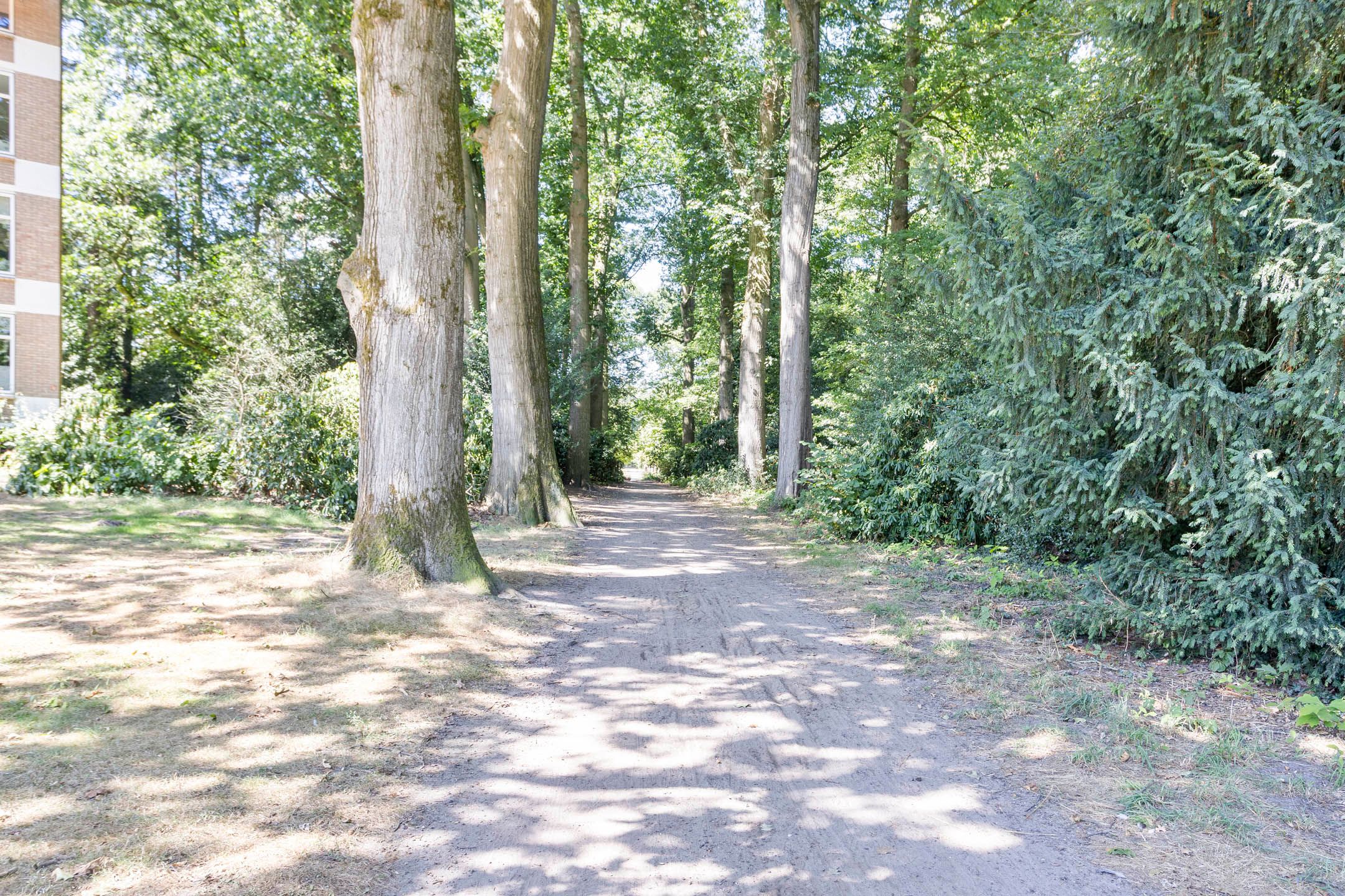 Photo 36 of Park de Kotten 252