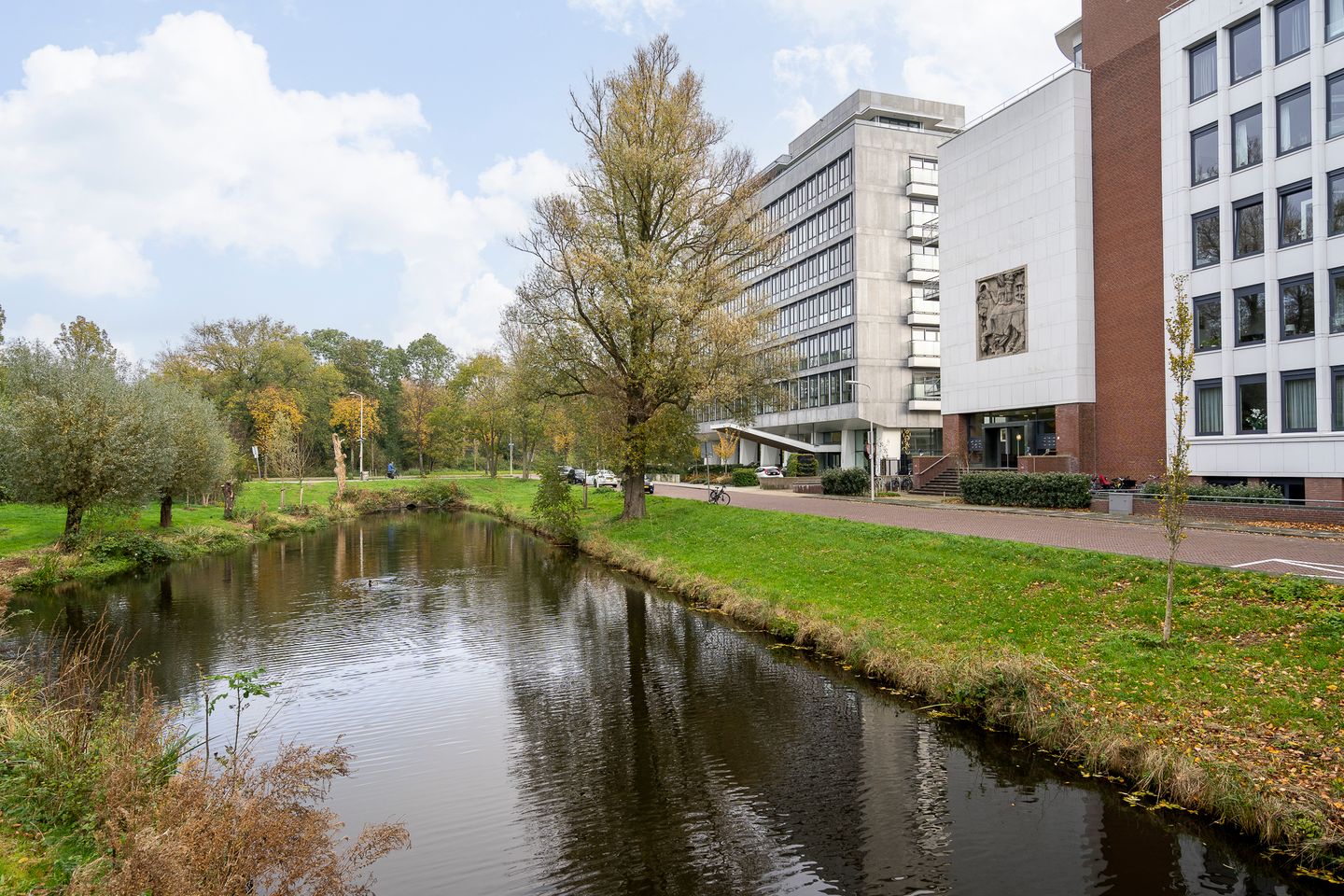 Photo 4 of Stadhoudersplantsoen 2-B