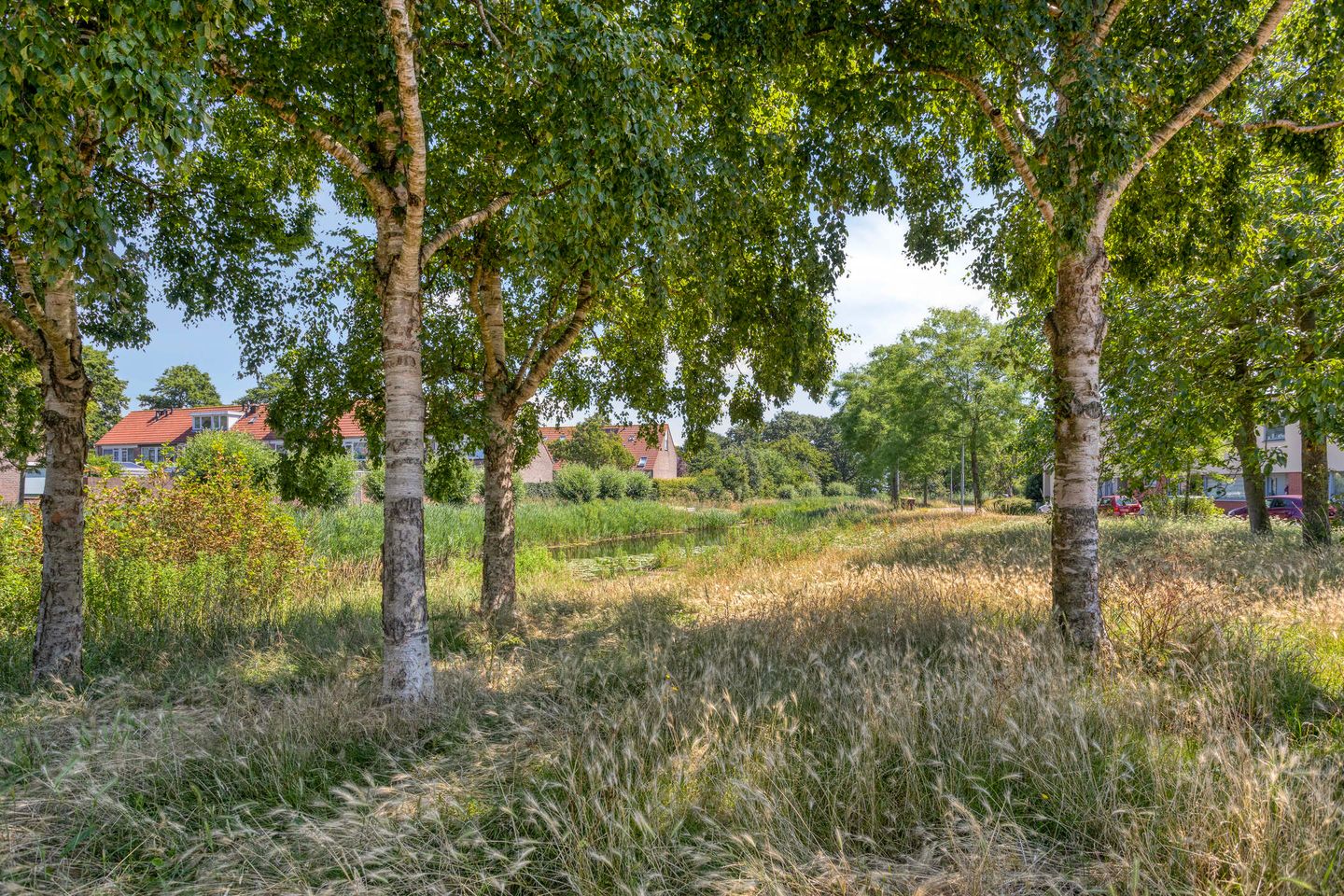 Photo 35 of Ronde Laan 38