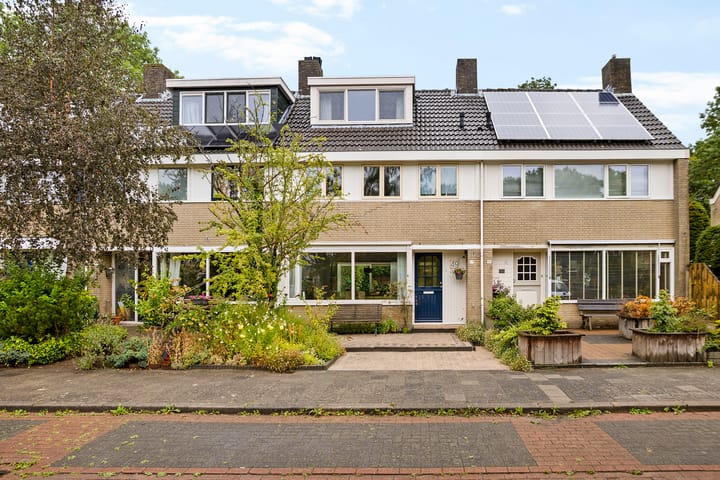 Foto 4 van Pieter de Hooghstraat 49