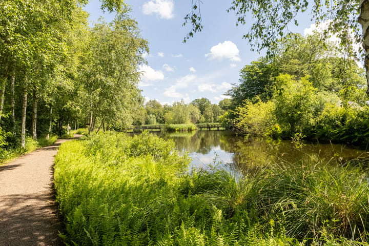 Photo 3 of Amsterdamseweg 232