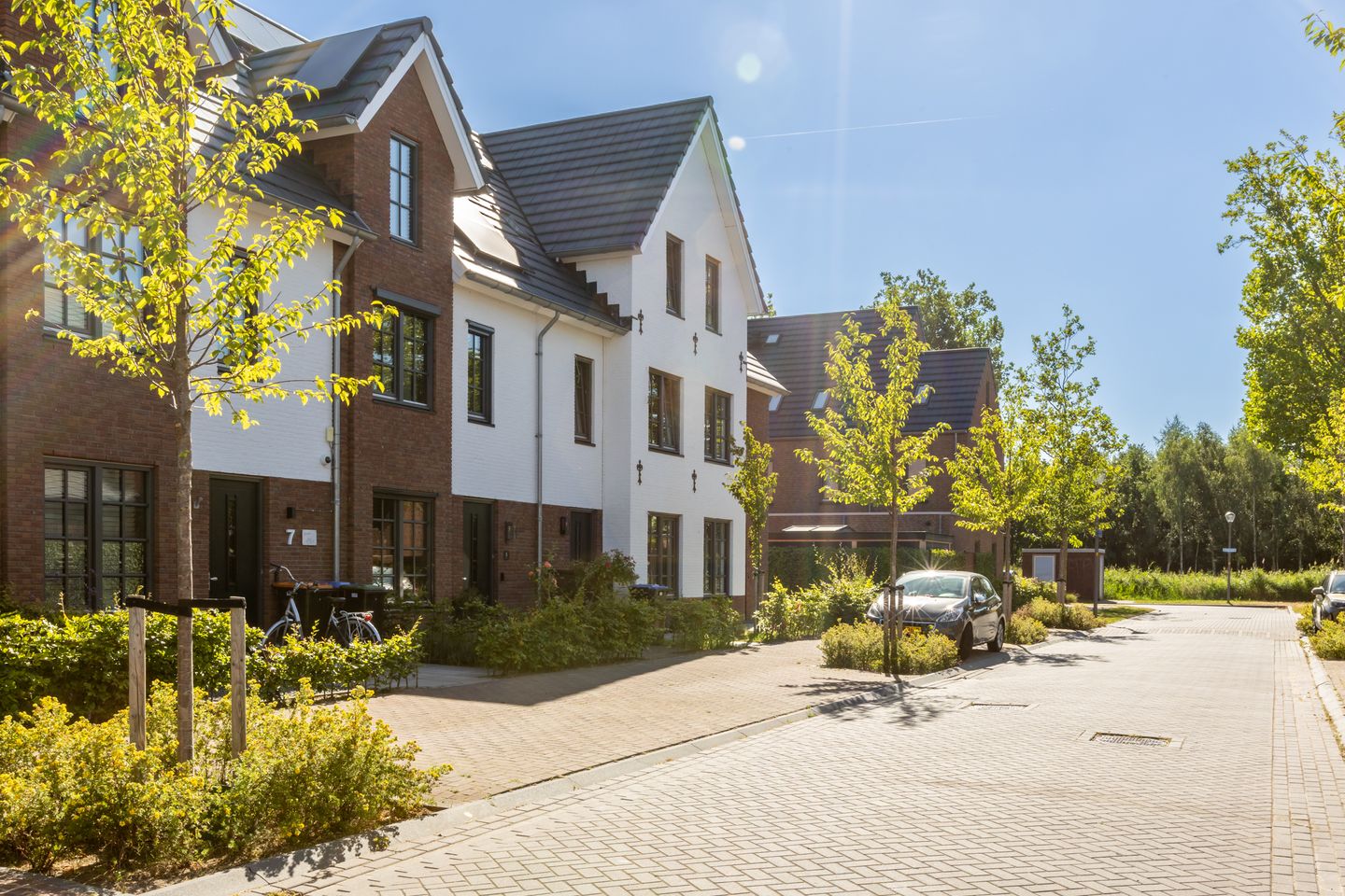 Foto 40 van Honingbij 5
