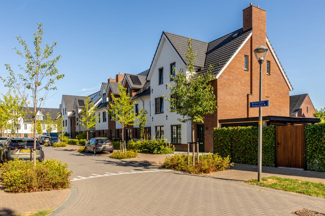 Foto 41 van Honingbij 5