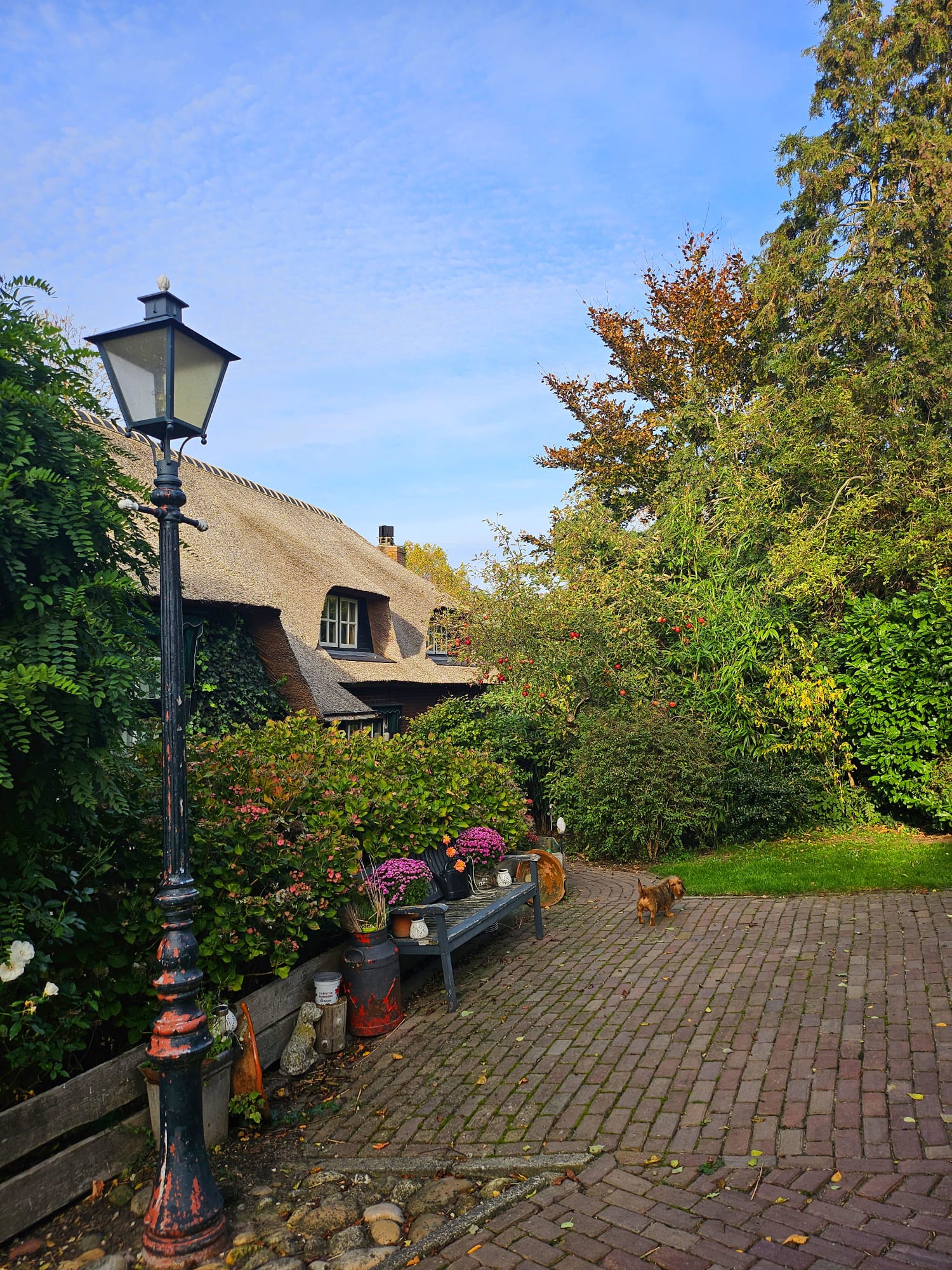 Foto 42 van Weelsedijk 26