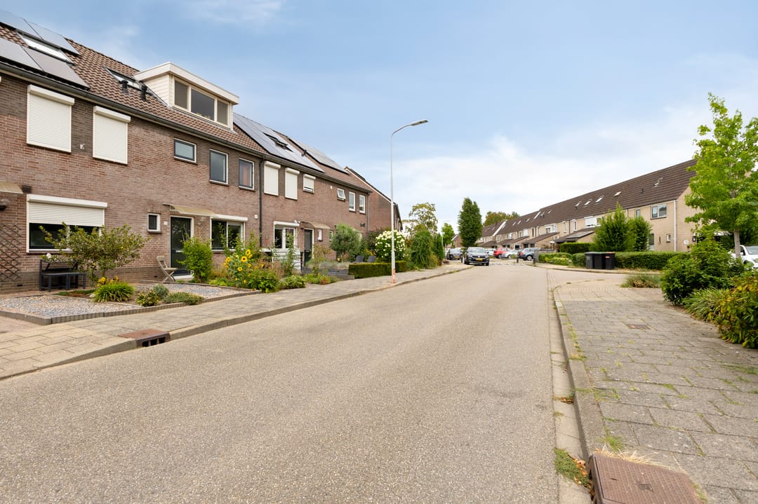 Foto 46 van Potterstraat 20