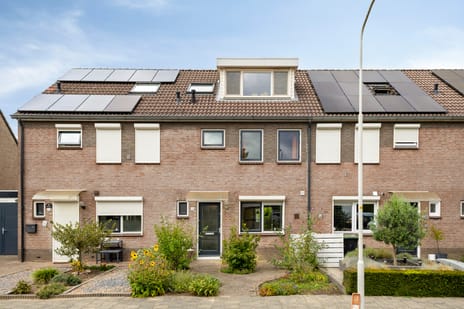 Potterstraat thumbnail