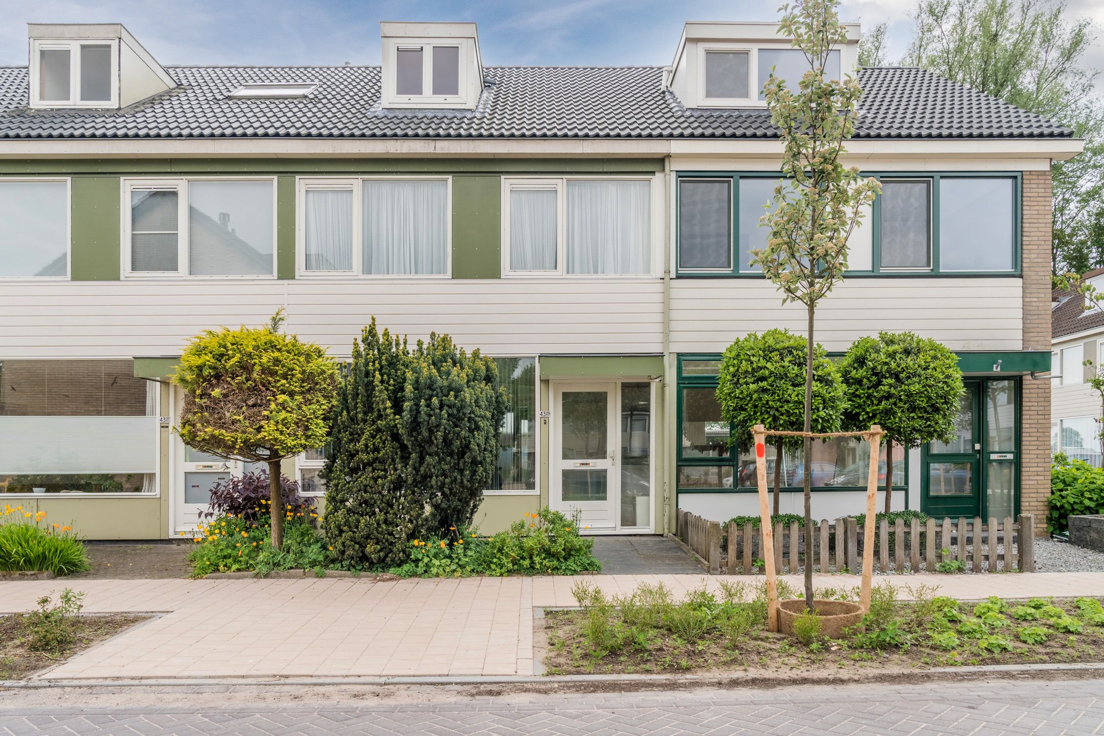 Couwenhoven 4309 