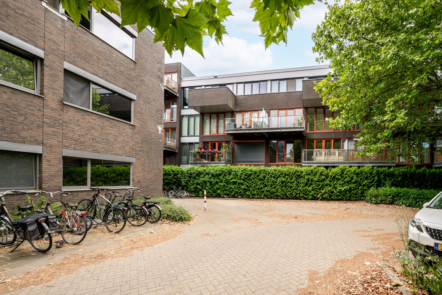 Photo 19 of Kamperfoeliestraat 12-A