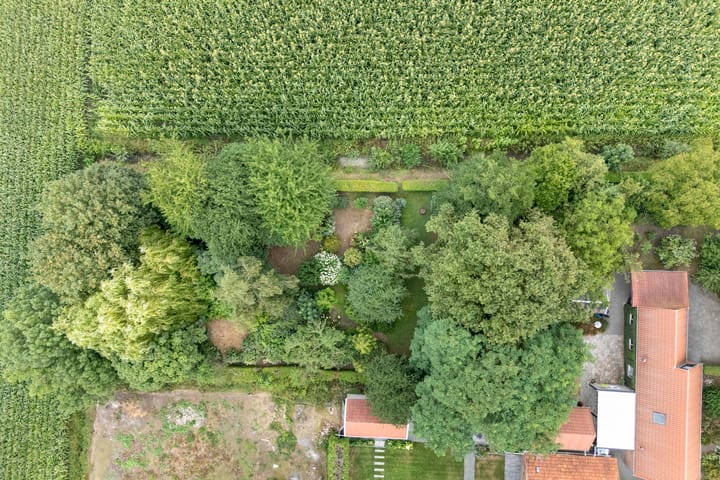 Vrijstaande woning te koop: Dwarsweg 3, Bruchterveld