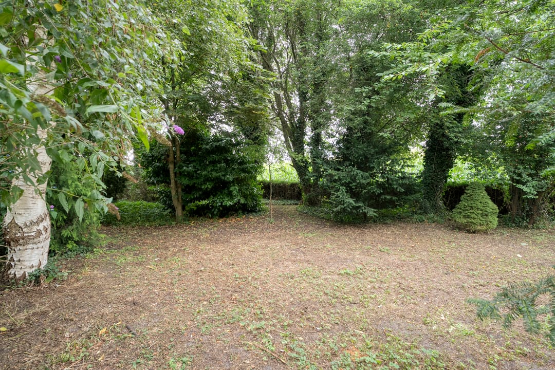 Photo 68 of Dwarsweg 3