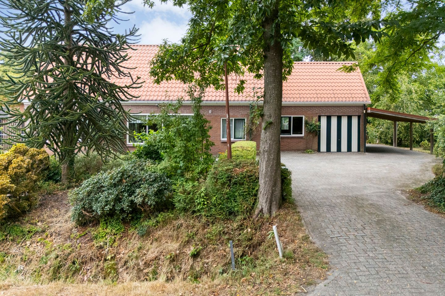 Photo 19 of Dwarsweg 3