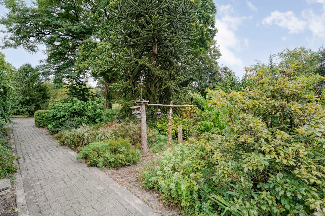 Photo 56 of Dwarsweg 3