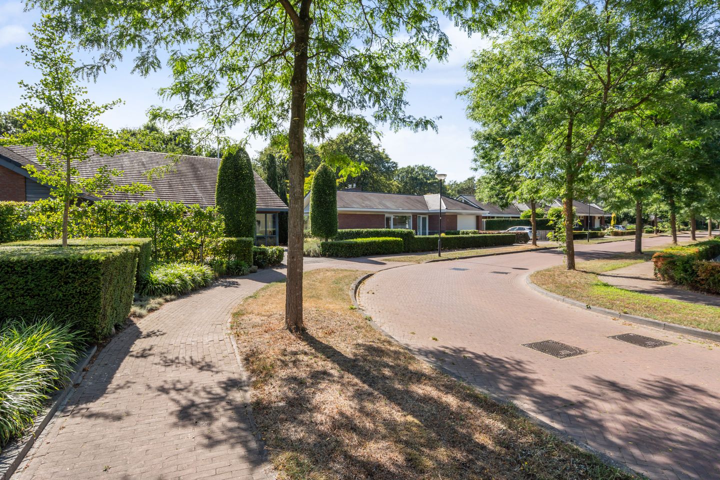 Photo 44 of Boermaat 12