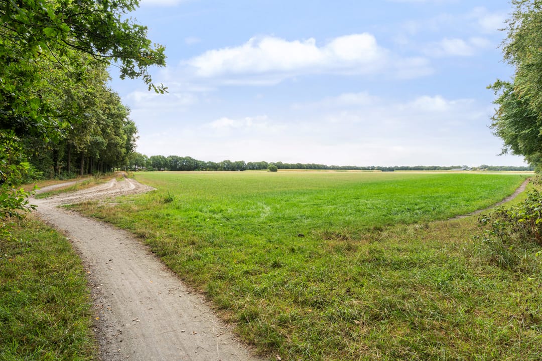 Photo 46 of Boermaat 12