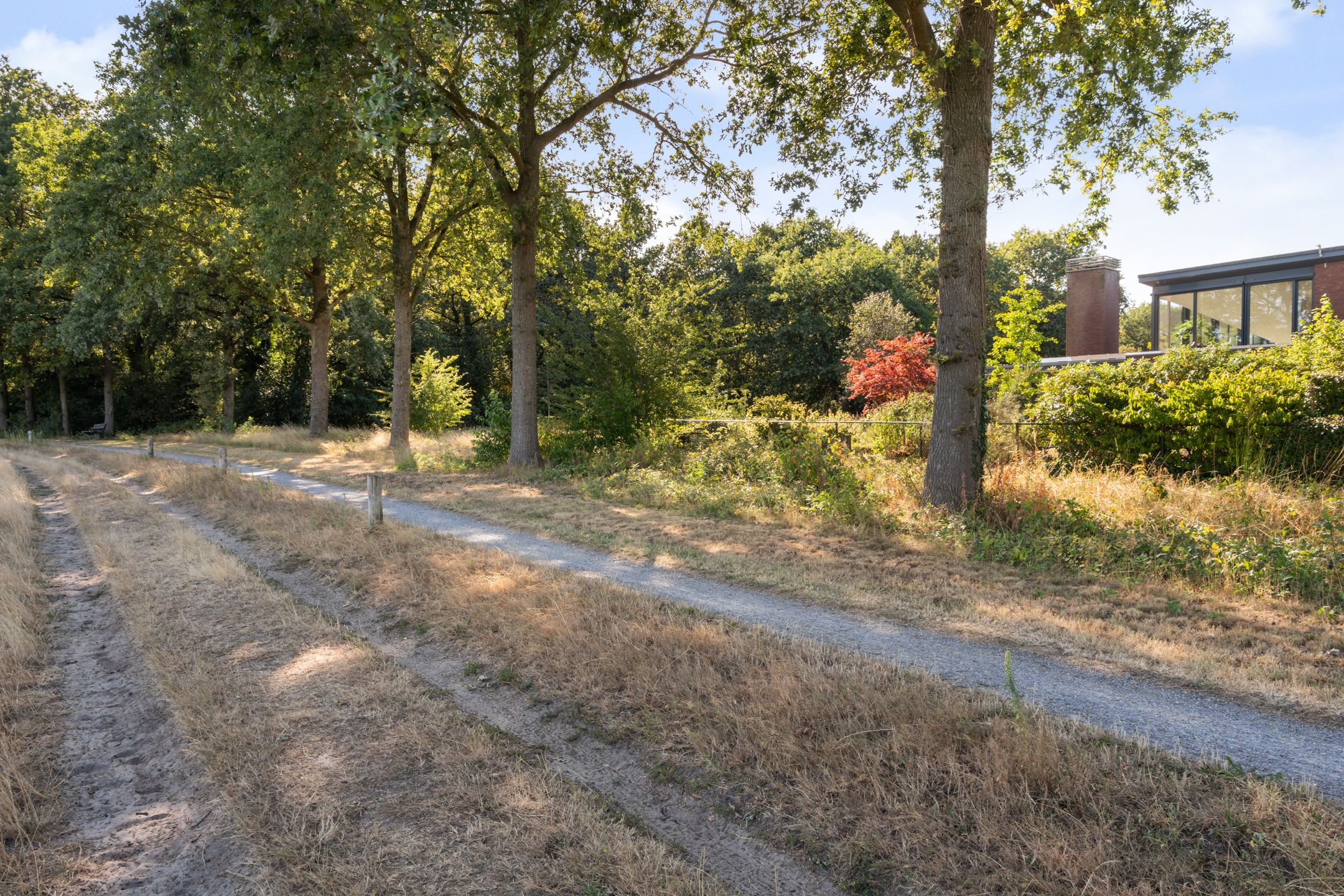 Photo 39 of Boermaat 12