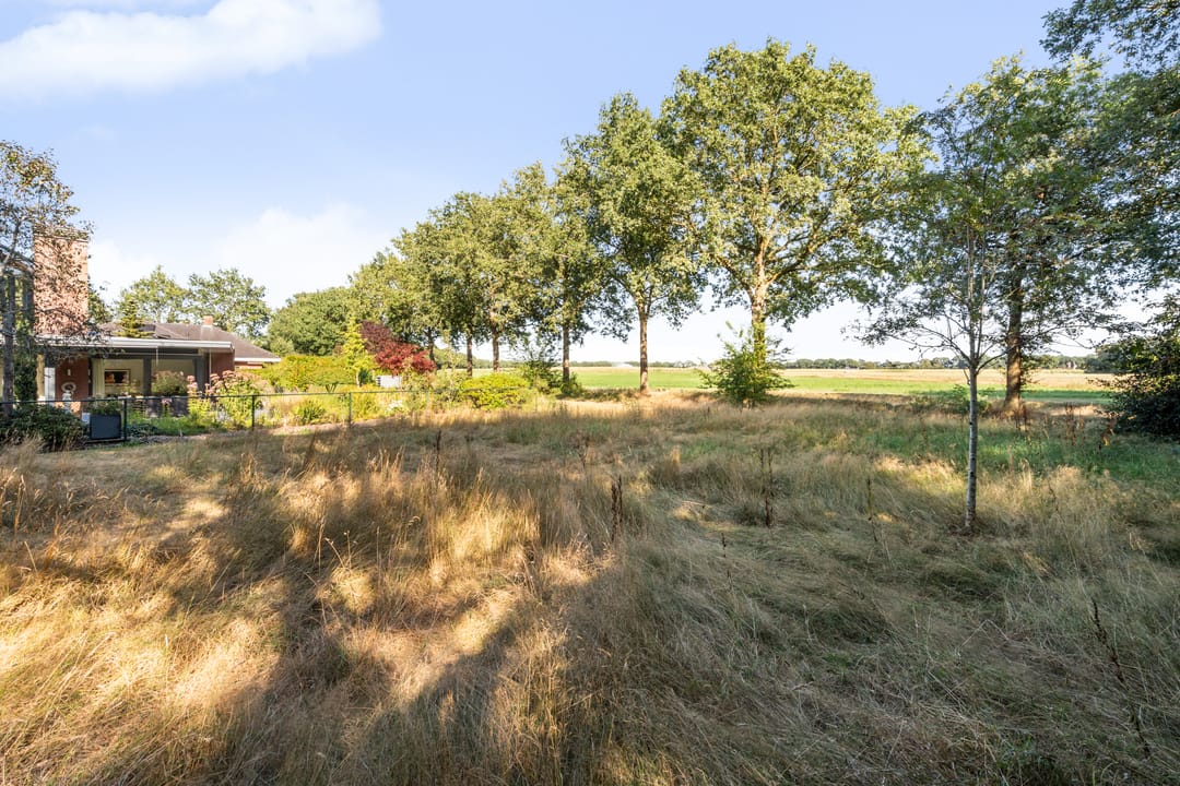 Photo 41 of Boermaat 12