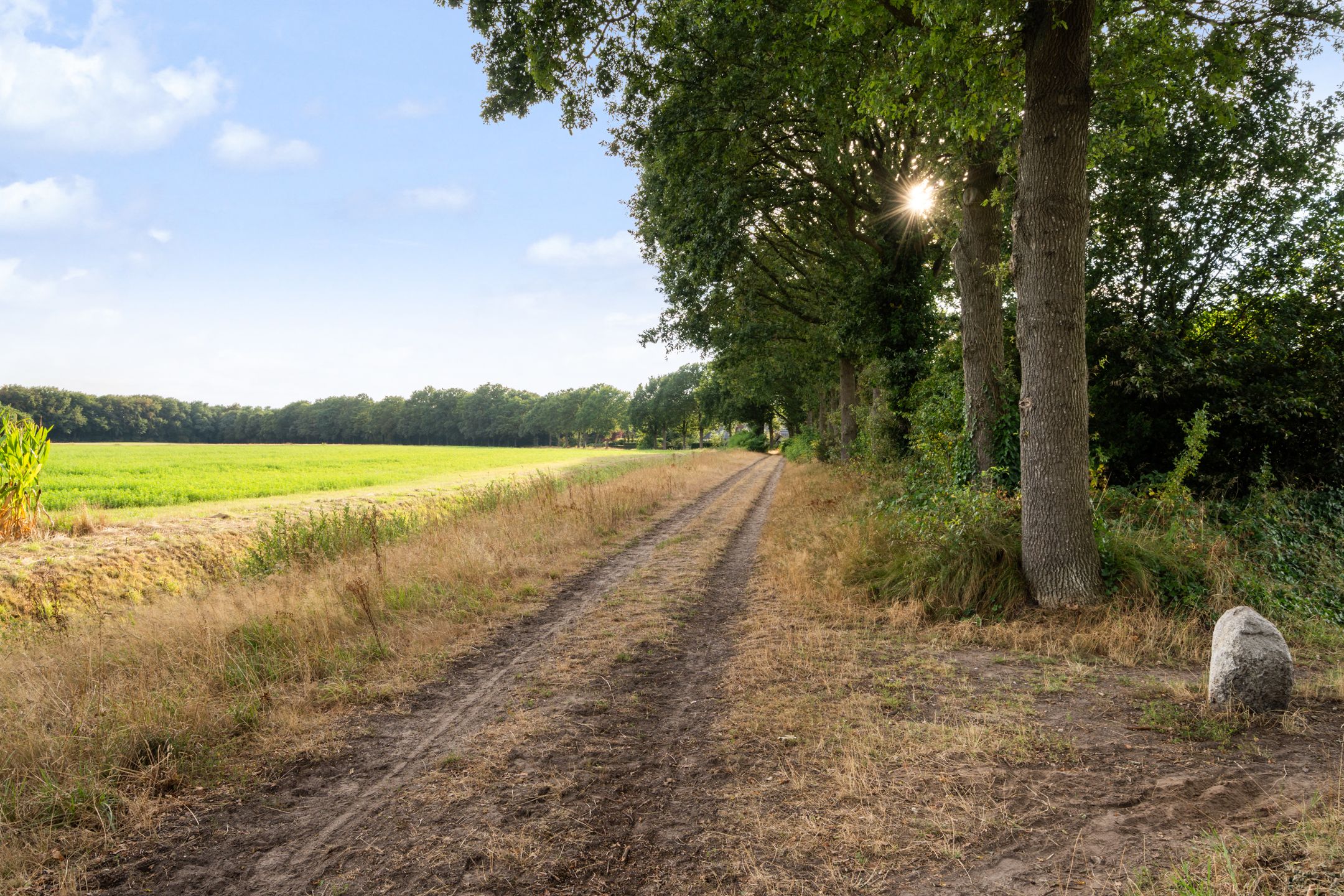 Photo 48 of Boermaat 12