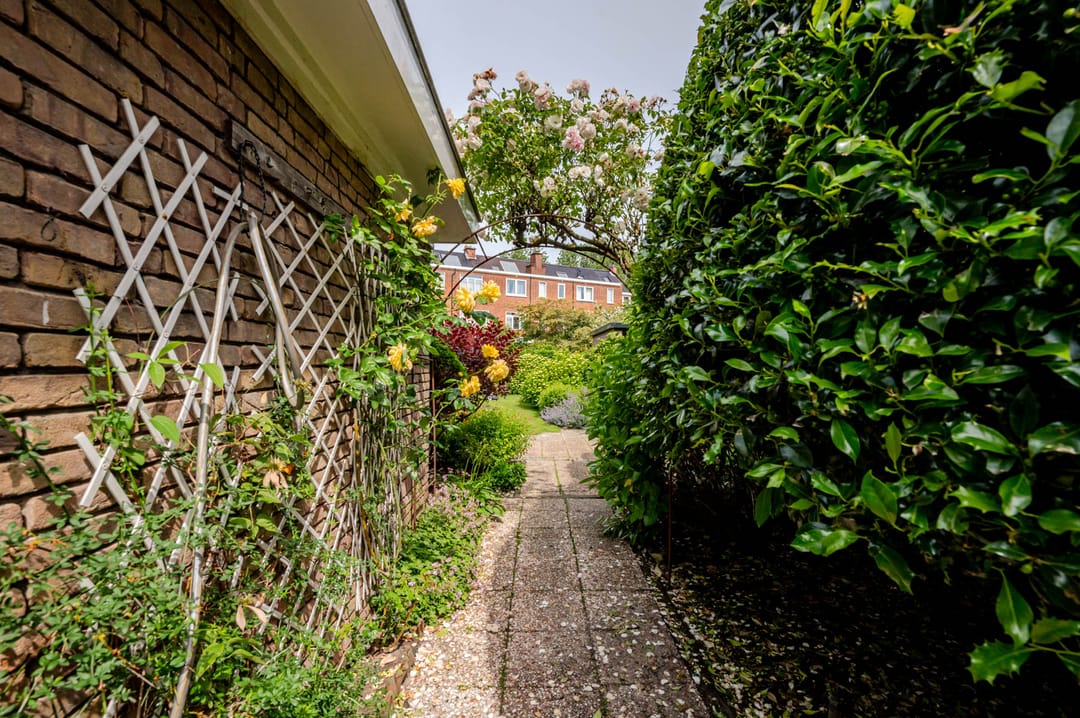 Photo 37 of Spotvogellaan 21