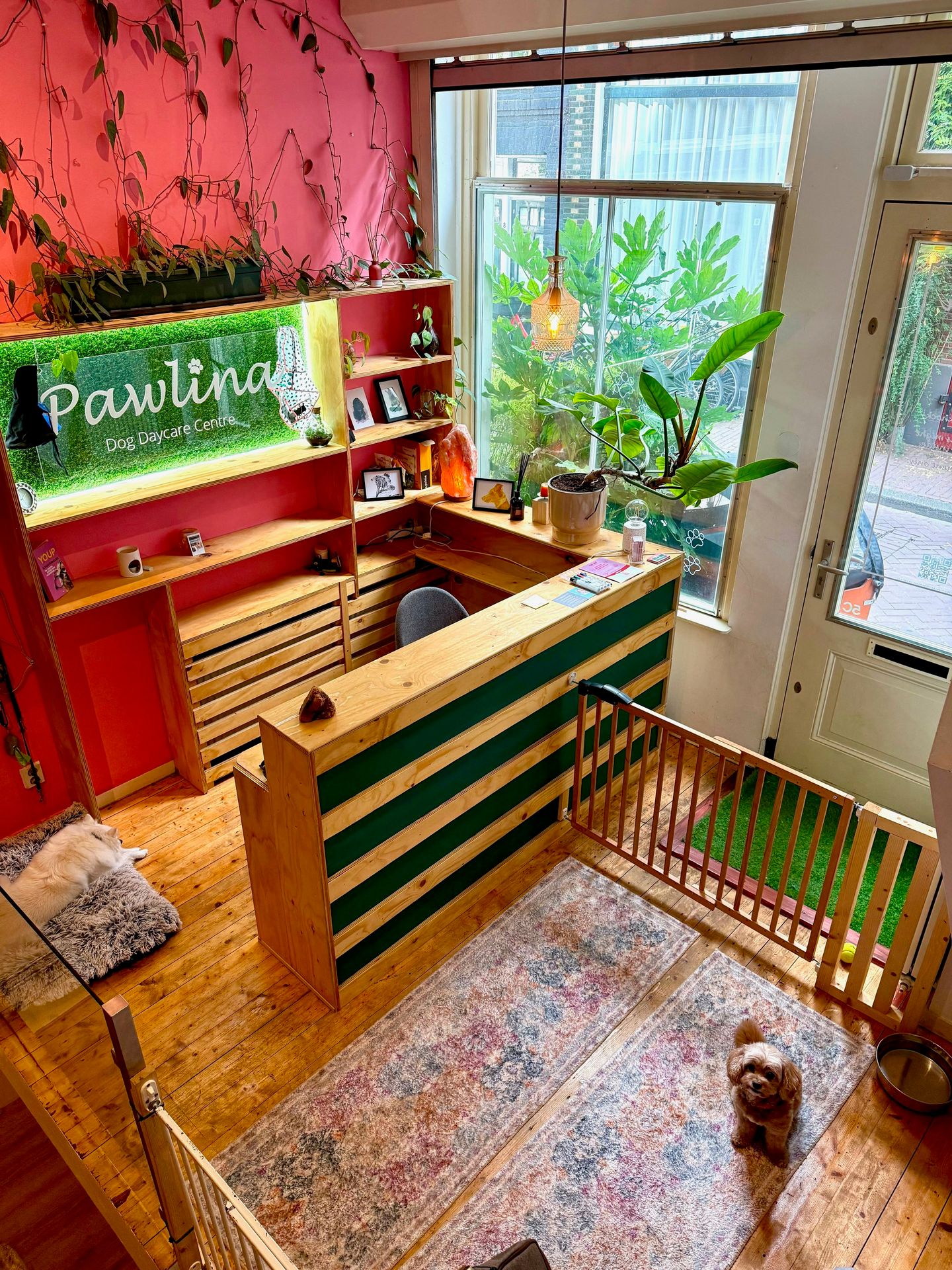 View photo 4 of Eerste Bloemdwarsstraat 5-C