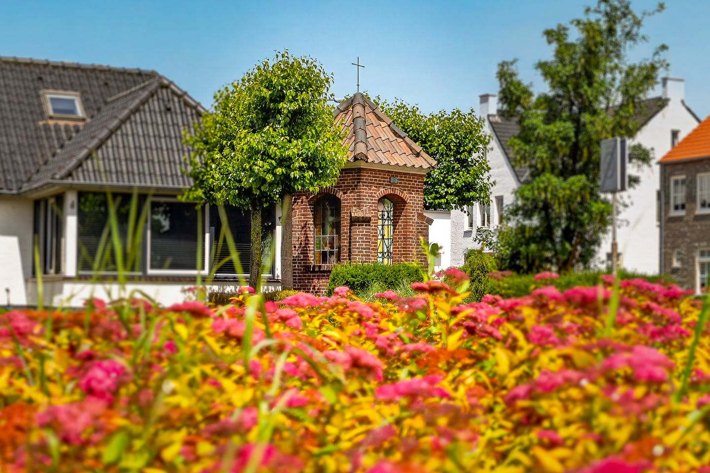 Photo 50 of Molenhoek 12