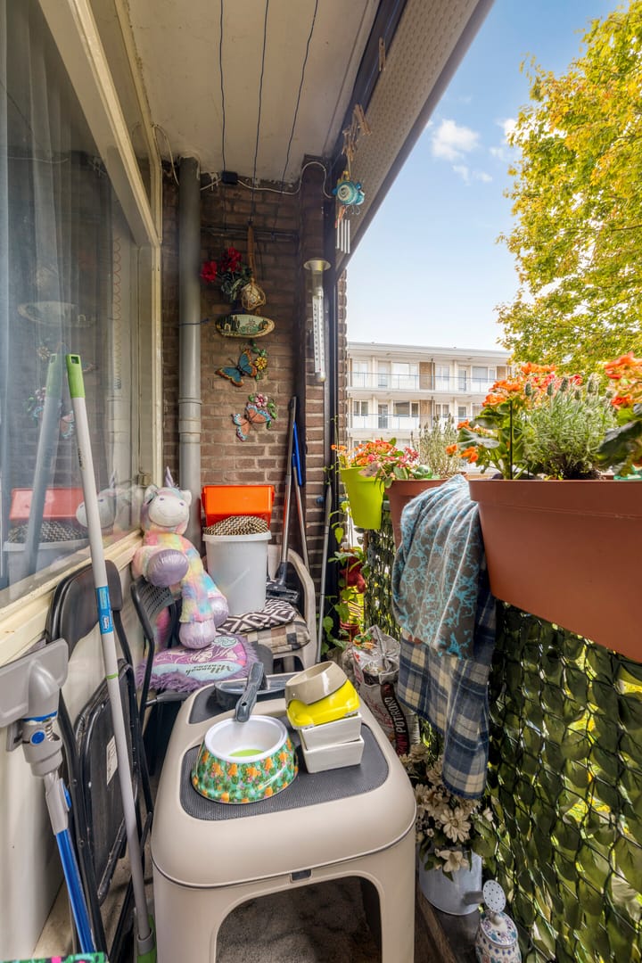 Appartement te koop: Socratesstraat 133, Rotterdam