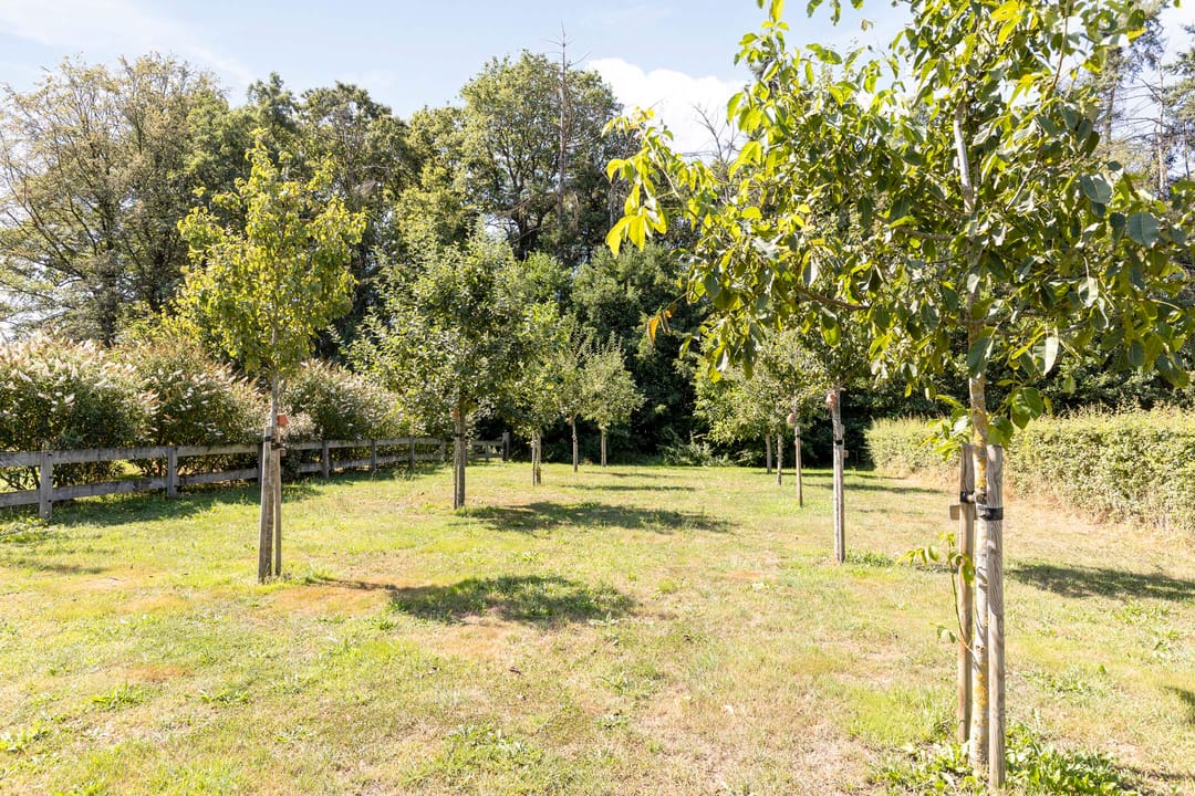 Photo 61 of Hoge Slagdijk 4