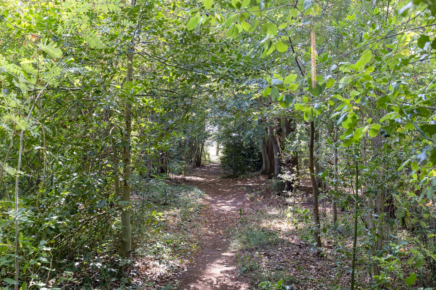 Photo 64 of Hoge Slagdijk 4