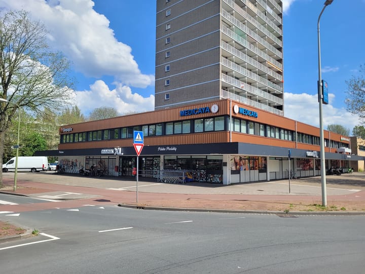 Beresteinlaan 4, Den Haag