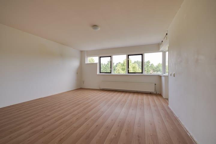 Foto 4 van Laan van de Mensenrechten 134