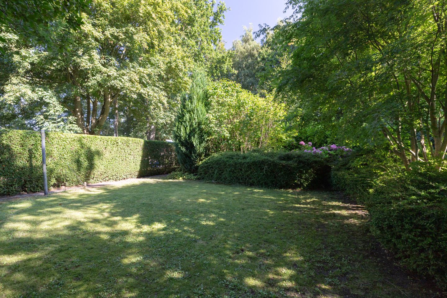 Foto 5 van Oostereinde 15-A