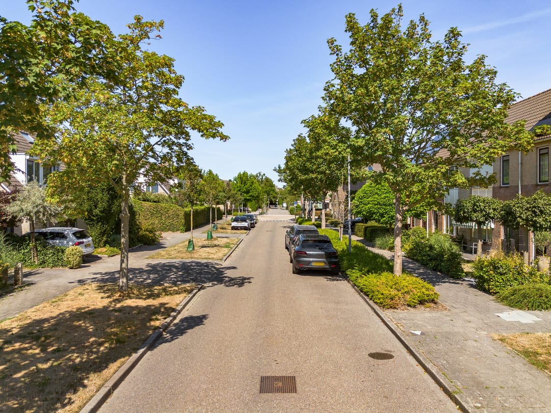 Foto 43 van Zomerschoon 30