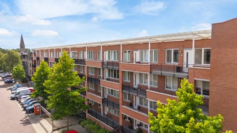 Raadhuisstraat thumbnail