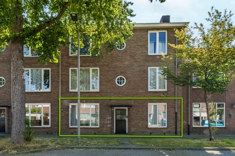Ranonkelstraat thumbnail