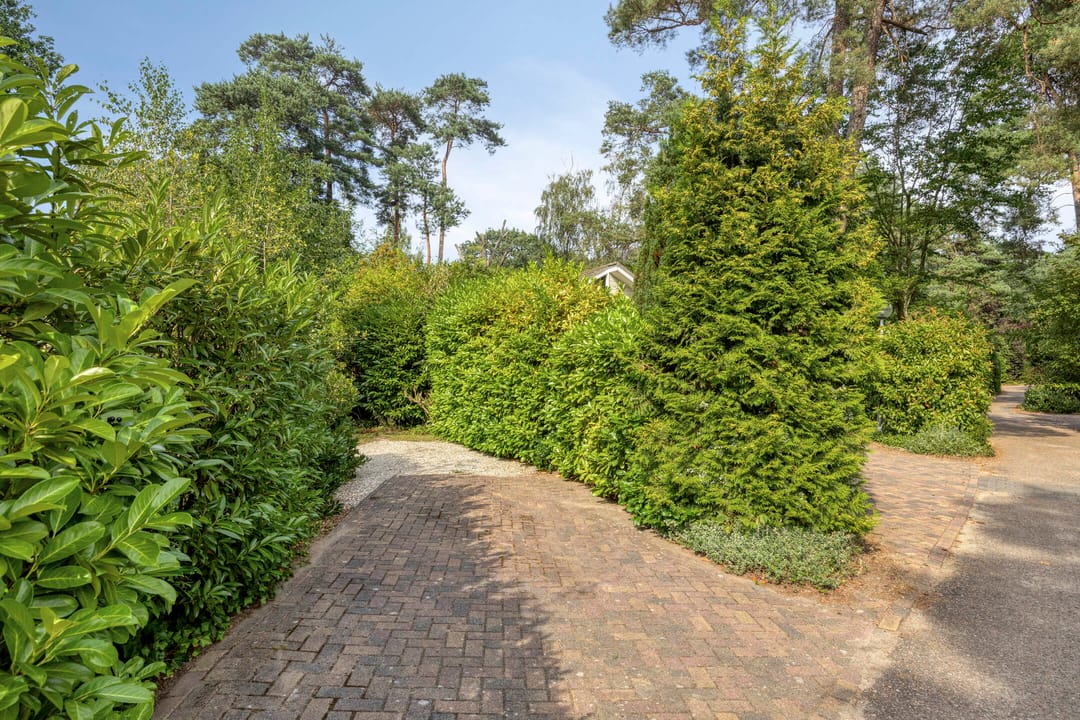Photo 31 of Potdijk 8-D4