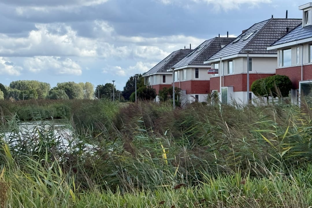 Photo 37 of Zwanenbloemkade 4