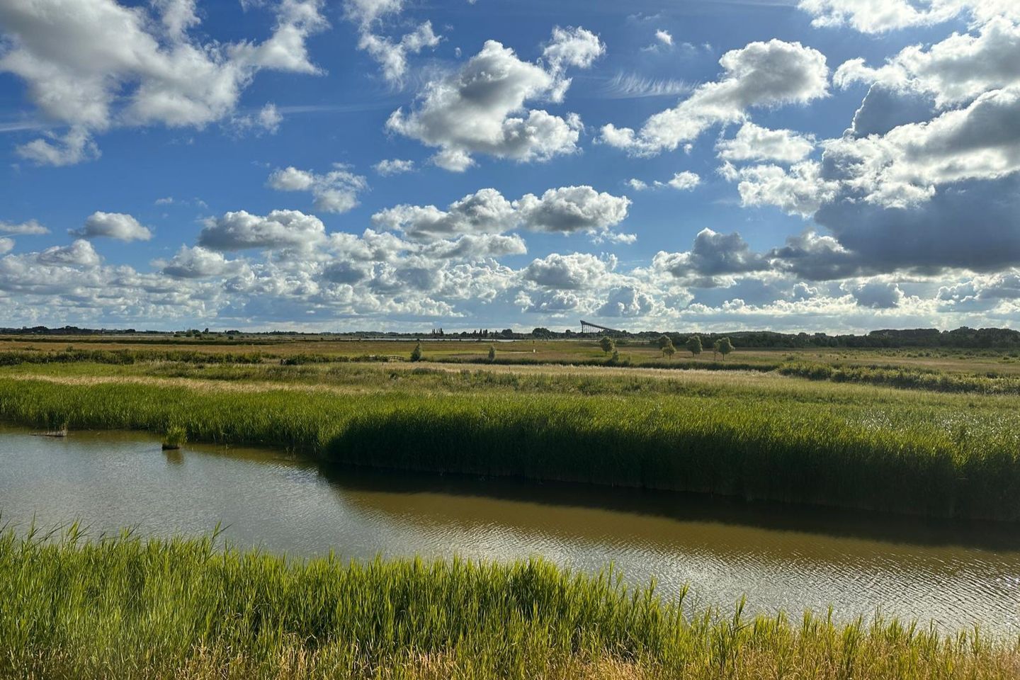 Photo 34 of Zwanenbloemkade 4