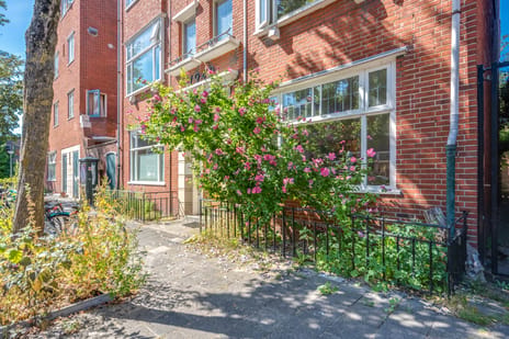 Wassenberghstraat thumbnail